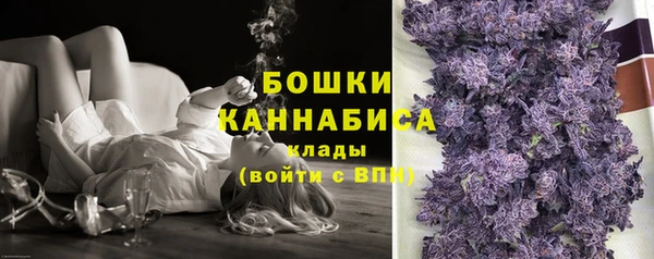 PSILOCYBIN Баксан