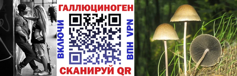 Галлюциногенные грибы прущие грибы купить наркоту Грязи